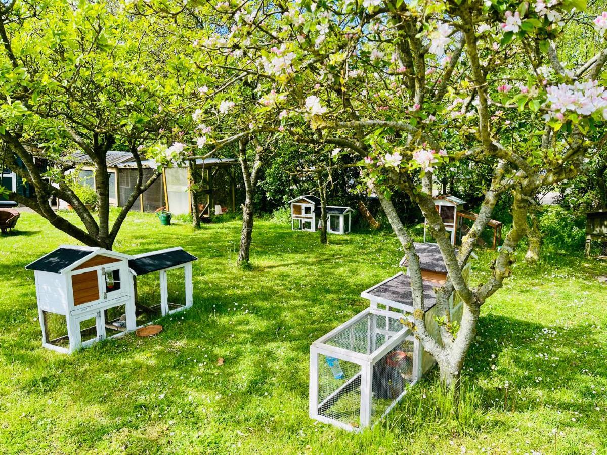 Готель 4 Persoons Ingerichte Tent Op Kleine Camping Анна Павловна Екстер'єр фото